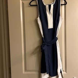 Ann Taylor Dress
